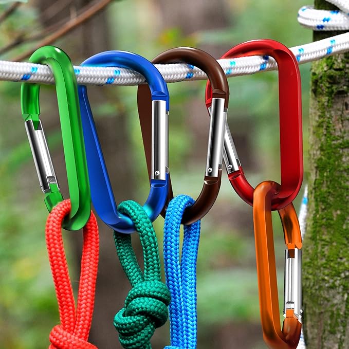 sprookber 3" Carabiner Clip Keychain, D Ring Caribeaner Clip, Key Clip Caribeener, Spring Snap Hook for Bag/Buckle, Set of 10