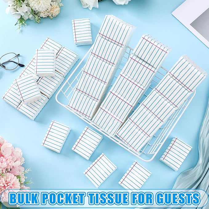 Ctosree 50 Pack Back to School Pocket Tissues Teacher Classroom Travel Packs Bulk 500 Sheet Small Notebook Tissues Pocket Packs 3 Ply Mini Travel Size Individual (Classic)