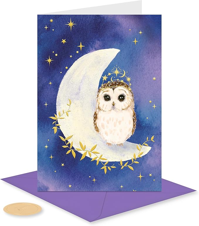 Papyrus 14-Count Blank Cards with Envelopes (Celestial Owl)