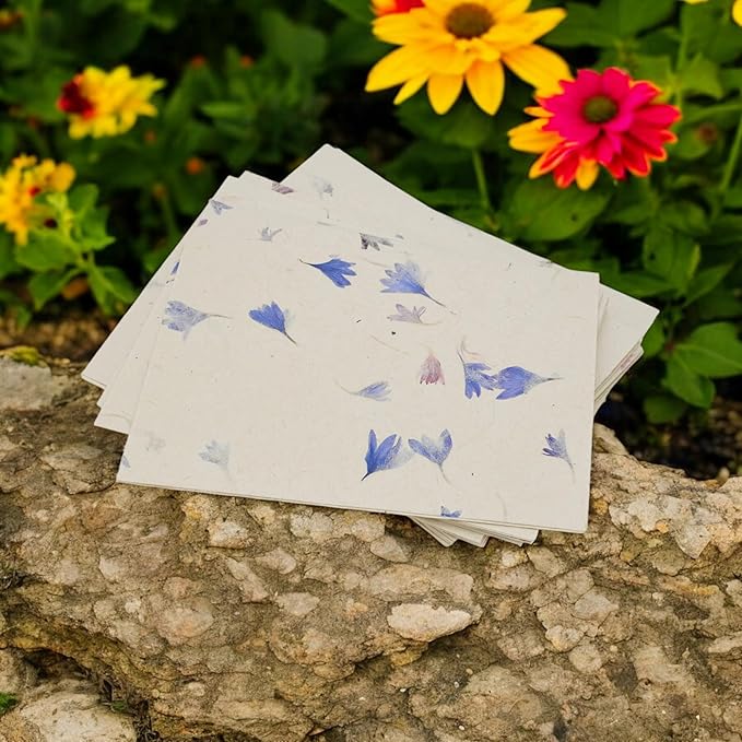 Kathmandu Valley Co. Nepali Cherish Greeting Card & Envelope Box Set with Handmade Lokta Paper from Nepal, 15 Greeting Cards (Cornflower)