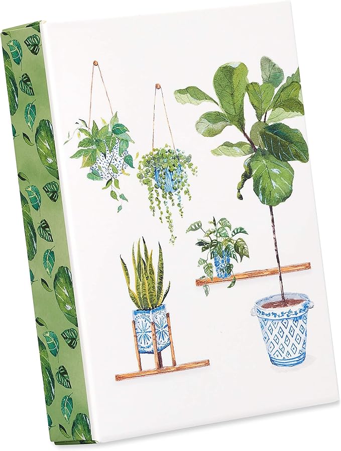Papyrus Blank Cards with Envelopes, Indoor Garden (14-Count)