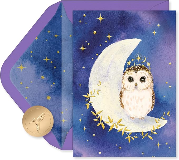Papyrus 14-Count Blank Cards with Envelopes (Celestial Owl)