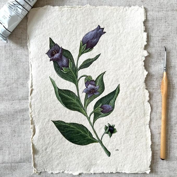 400 GSM / 25 Sheets - Rough/Textured Watercolor Drawing/Sketching Paper - 6"X4"(A6)- Handmade/Deckle Edge Paper Made from Virgin Egyptian Cotton - Off-White by Leather Village