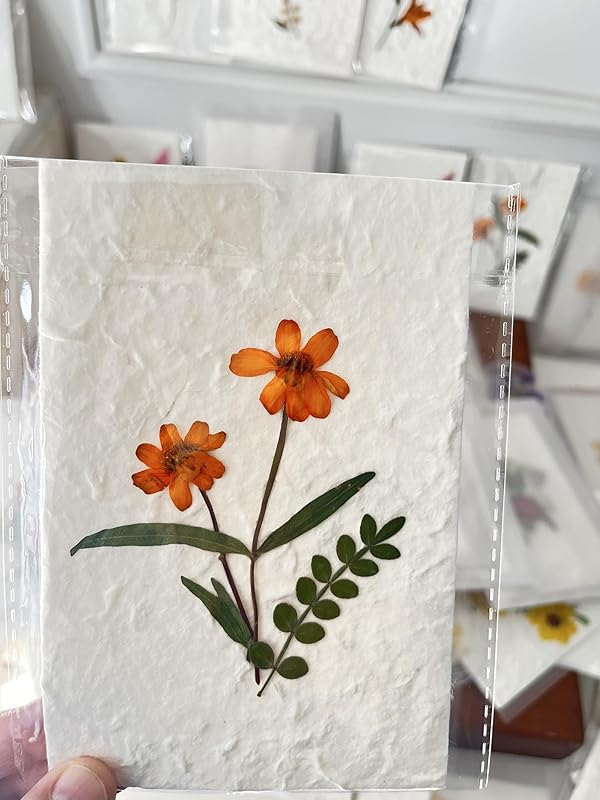 Handmade Pressed Flower Notecard Set with Real Flowers, 4x6 inches, Dongba Paper, Translucent Envelope, 3-Piece Gift Set, Perfect for Business, Birthday, Wedding, Congratulations, Gift, Thank you