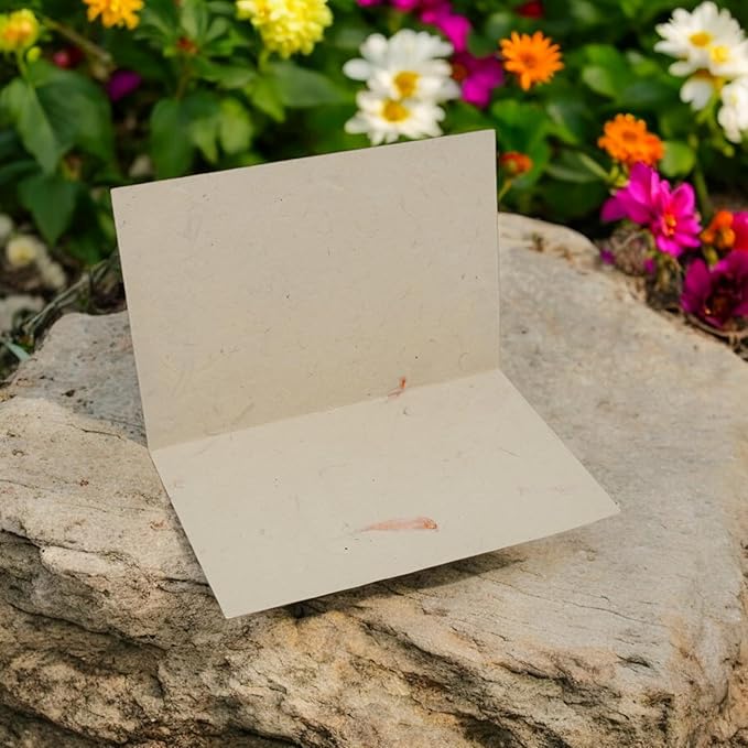 Kathmandu Valley Co. Nepali Cherish Greeting Card & Envelope Box Set with Handmade Lokta Paper from Nepal, 15 Cards (Marigold)