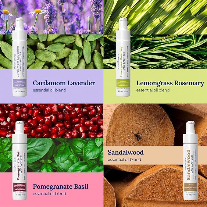 Lotion Hand Sanitizer Variety 4 Pack | Hand Sanitizer Travel Size | Moisturizing Hand Lotion | With Aloe Vera & Essential Oils | Vitamin E | Cleanse & Moisturize | For Cars, Backpacks, Travel