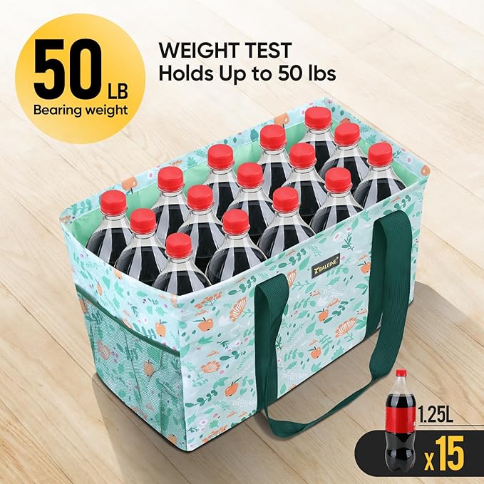 BALEINE Soft 9 Gallon Extra Large Utility Tote, Foldable Reusable Storage Bag (Spring Stroll)