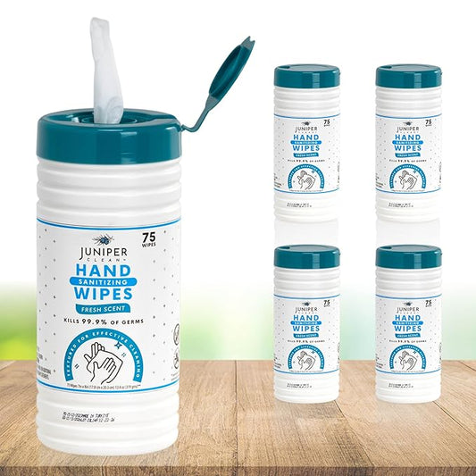 4 Pack Hand Sanitizing Wipes, Alcohol Free 300 Count Canister Disposable Hand Sanitizer Wipes, Fresh Scent, Lint Free & Durable