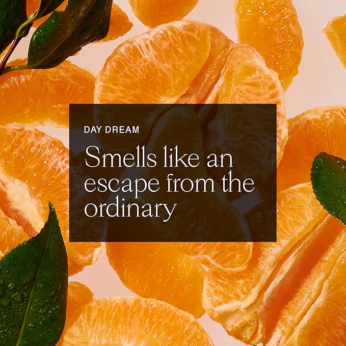 Each & Every Aluminum Free Deodorant for Women & Men - All Natural Deodorant for Sensitive Skin, EWG Verified - Clean, Baking Soda-Free, Plant-Based Fragrance, Citrus & Vetiver, 2.5oz