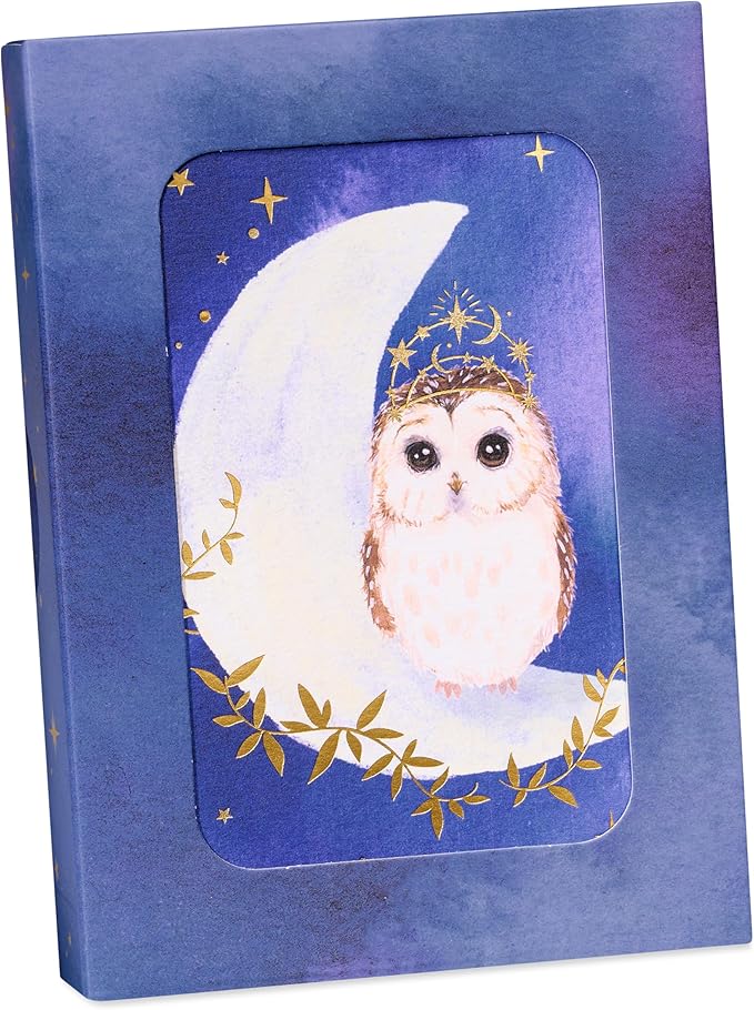 Papyrus 14-Count Blank Cards with Envelopes (Celestial Owl)