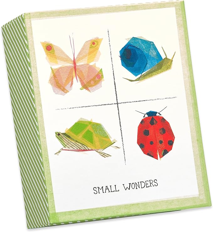 Papyrus Blank Cards with Keepsake Box, Garden Critters (20-Count)