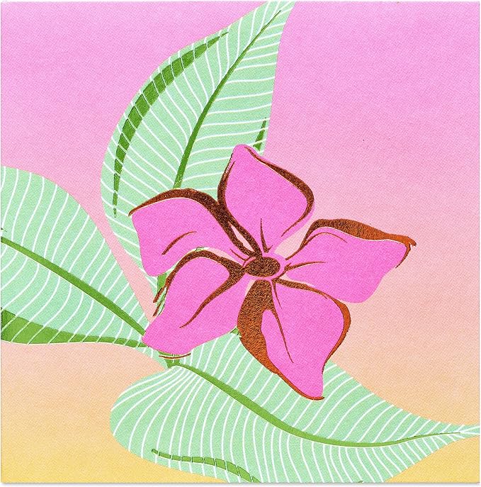 Papyrus Blank Pop-Up Card for Birthdays, Thinking of You and All Occasions (Tropical)